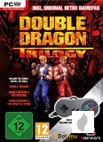 Double Dragon Trilogy für PC